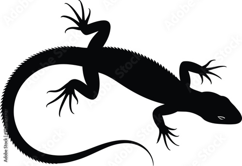 Black silhouette of a lizard crawling on white background (2) [Converted].eps