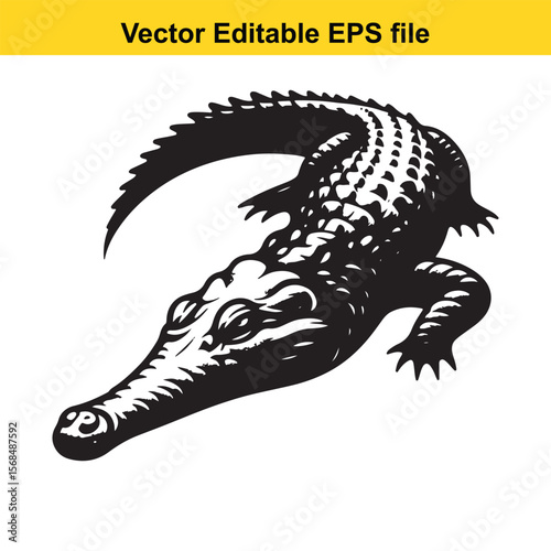 Monochrome Vector Illustration of a Textured Alligator Showing its Scaly Skin and Powerful Limbs against a Plain White Background