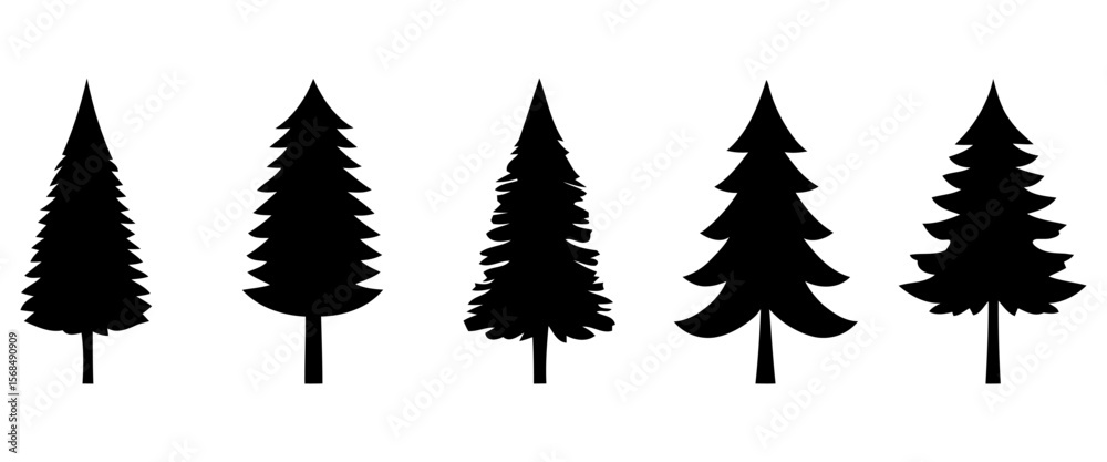 Fototapeta premium Pine species vector collection conifer varieties Christmas tree farm art for botanical guides outdoor branding and seasonal decor