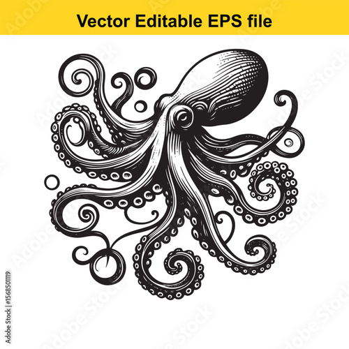 Detailed Octopus Illustration with Intricate Tentacles in Black and White Vector Style Seafood marine life and detailed depiction