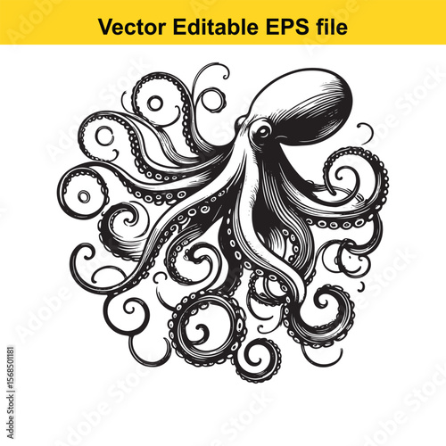 Detailed Octopus Illustration with Intricate Tentacles in Black and White Vector Style Seafood marine life and detailed depiction