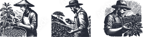 Heavy lined effect vintage vector bundle featuring a farmer inspecting coffee beans, rustic agricultural scene, detailed illustration perfect for organic farming, coffee harvest, rural lifestyle desig