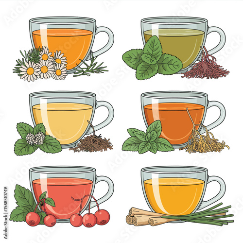 Variety of Herbal and Tea Cups with Ingredients