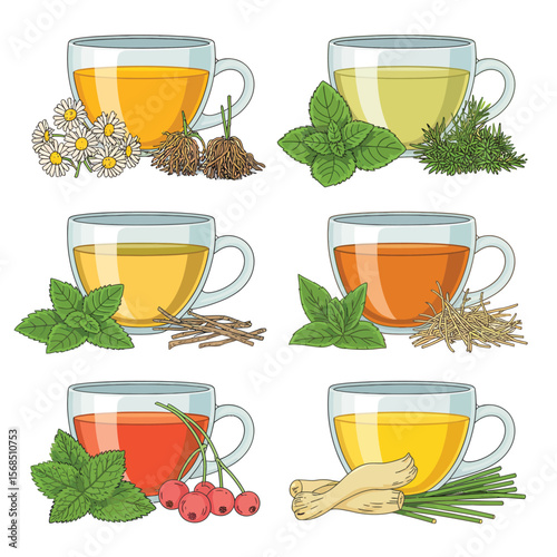 Variety of Herbal Teas in Glass Cups