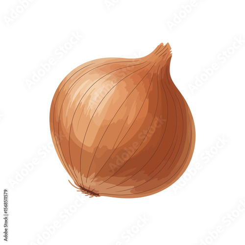 Single Whole Brown Onion Illustration