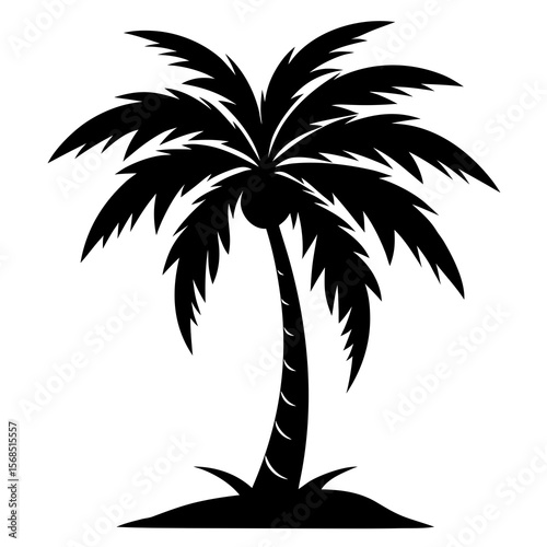 Black silhouette of a tropical palm tree with coconuts and fronds isolated on white background