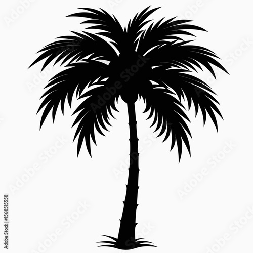 A detailed black silhouette of a tall palm tree with large fronds isolated on white background