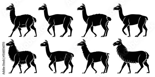 Collection of black llama silhouettes in various poses isolated on white background