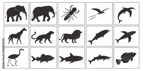 Collection of diverse animal silhouettes including mammals birds insects and fish isolated on white background