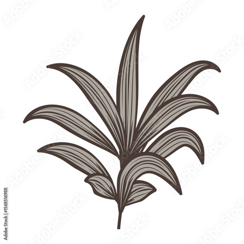 Print Vector illustration of a tropical bush. Vector illustration