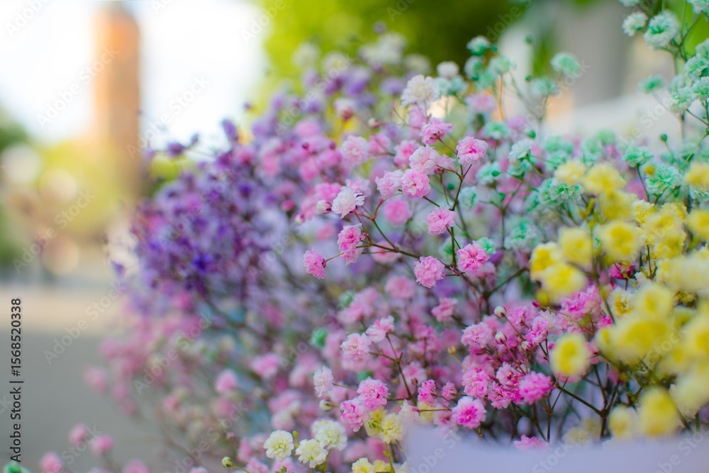 Obraz premium Colorful baby's breath flowers in a light blue paper bouquet