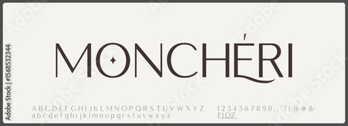 Luxury serif vector font. Elegant alphabet with uppercase, lowercase, and number.  Typography luxury classic lettering serif italic fonts decorative wedding vintage retro logo.