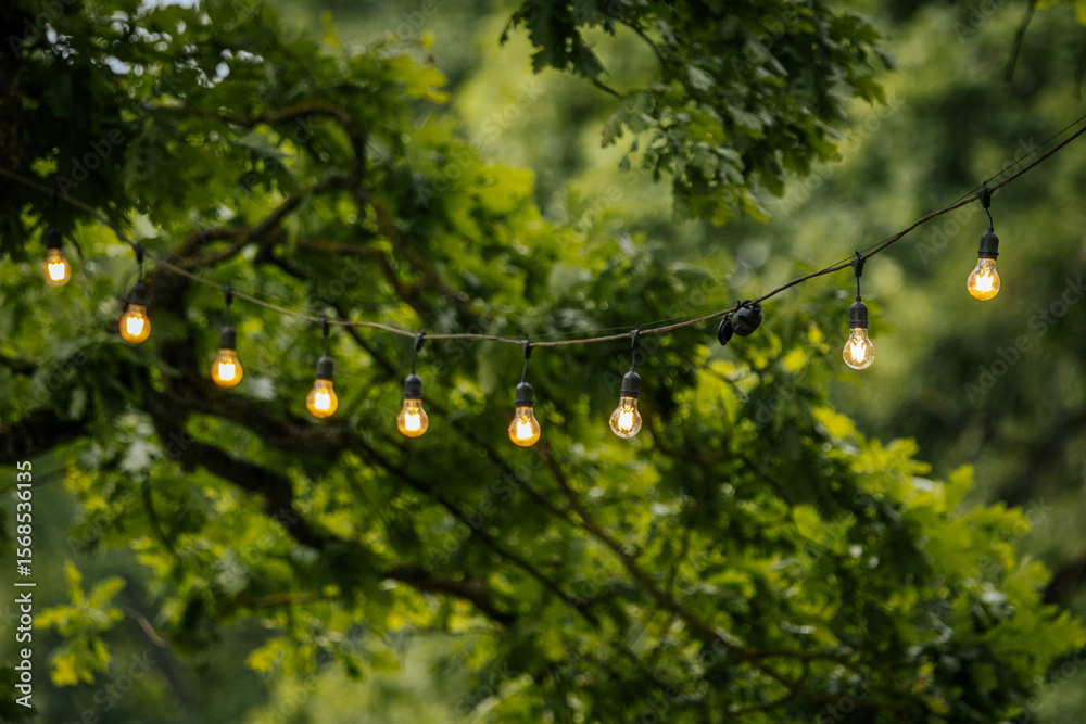 Fototapeta premium A line of glowing string lights hanging between trees in a lush green park, creating a warm and cozy outdoor atmosphere.