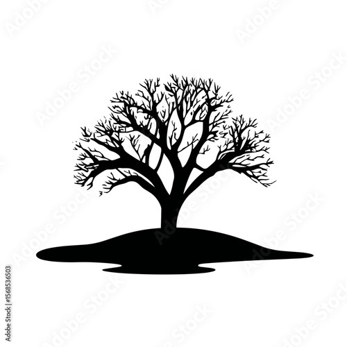 Silhouette of a deciduous tree, bereft of foliage, stands tall on a small hill, casting an elongated shadow on a stark white background.