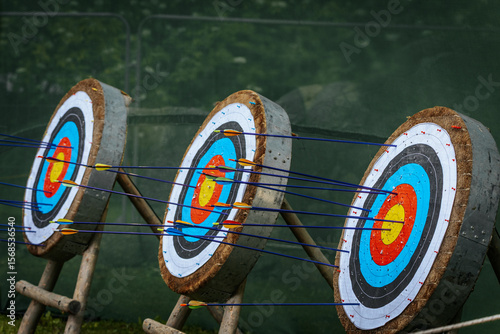 A circular archery target with concentric color rings is pierced by several arrows, highlighting both precision and missed shots, set against a green backdrop.