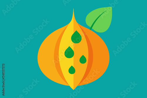 Close Up Of Pumpkin Leaf With Raindrops