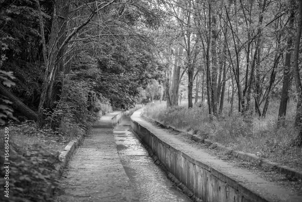 Naklejka premium A small river in the city is enclosed in a concrete channel, flows through a beautiful park, the background of the photo is blurred.