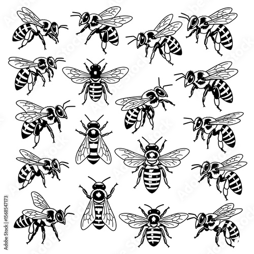 A detailed vector collection of honeybees in various flight and resting poses. Rendered in intricate black and white line art, highlighting their striped bodies and delicate wings.