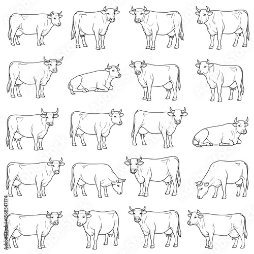 A comprehensive vector collection of cows in various standing, grazing, and resting poses. Rendered in clean black and white line art, highlighting their bovine forms.
