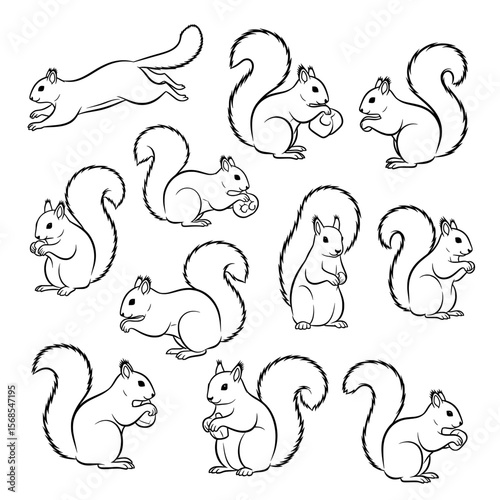 A charming vector collection of squirrels in various poses: running, sitting, and holding nuts. Rendered in clean black and white line art.
