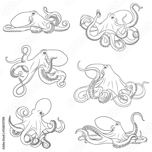 A detailed vector collection of octopuses in various dynamic and resting poses, showcasing their unique tentacles and suction cups. Rendered in intricate black and white line art.