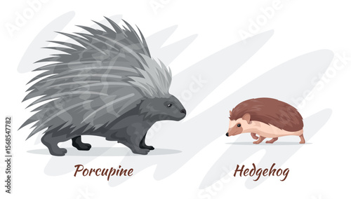 Porcupine and hedgehog. Prickly wild forest animals cartoon characters, cute hedgehogs vs porcupines funny baby animal autumn fall nature wildlife, neat vector illustration
