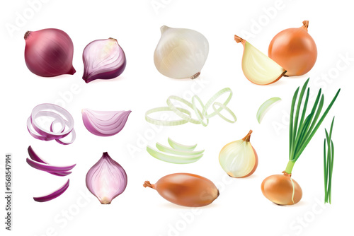 Realistic onion. 3d red green white onions cut ring half whole slice, shallot purple fresh vegetable with leaf farm food kitchen cooking herb vegan bulb, exact vector illustration