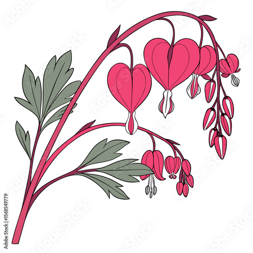 bleeding heart with leaves