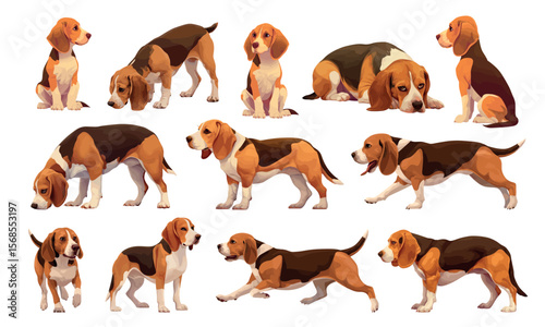 beagle dogs cartoon set. dog hunting breed, domestic animal red brown spotted long ears runs lies sits puppy pet vector illustration