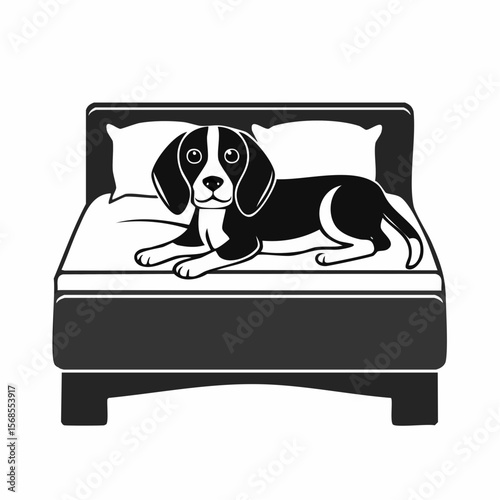 Beagle in bed Images vector. Black and white Dog Resting Vector Images.