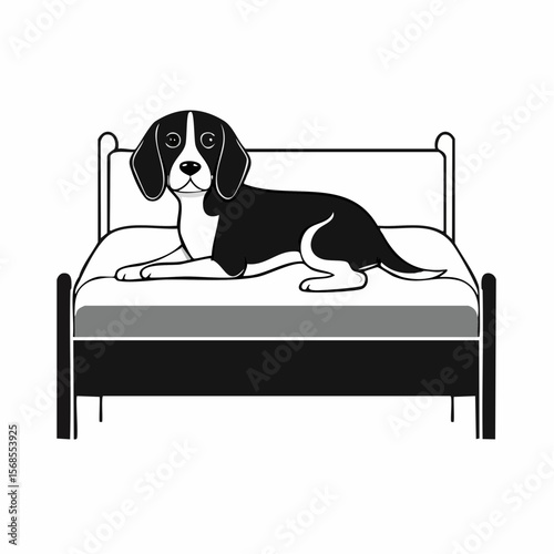 Beagle in bed Images vector. Black and white Dog Resting Vector Images.