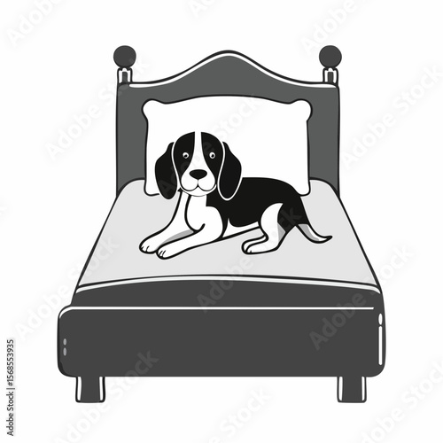 Beagle in bed Images vector. Black and white Dog Resting Vector Images.