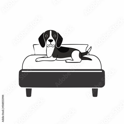 Beagle in bed Images vector. Black and white Dog Resting Vector Images.