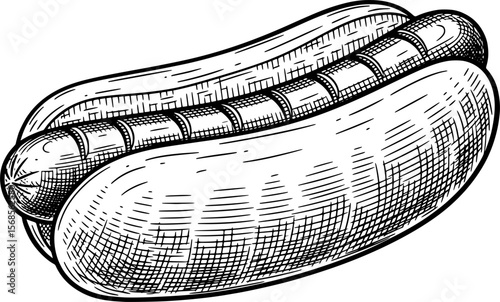 Engraved hot dog with bun rough sketch illustration hand-drawn style