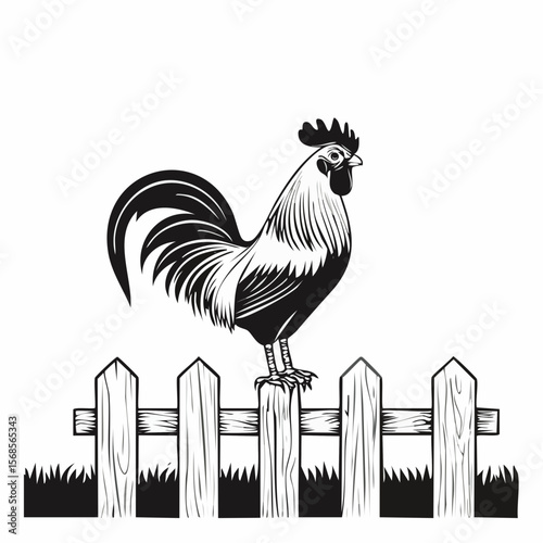 Rooster Perched Upon Farm Fence image vector isolated on white background.