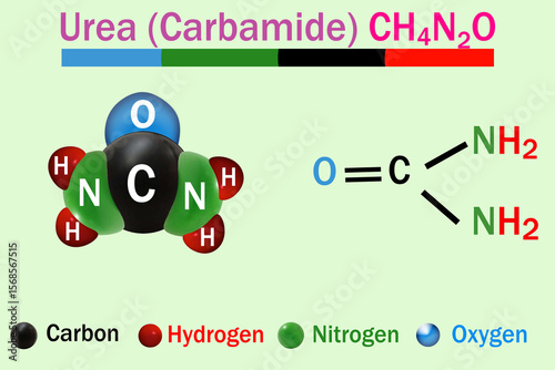 3D illustration of the urea (carbamide) molecule, showing its CH4N2O structure. Urea is a colorless, odorless compound commonly used in fertilizers.