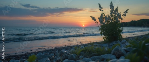 Fototapeta Naklejka Na Ścianę i Meble -  Summer evening at the Baltic Sea seashore.