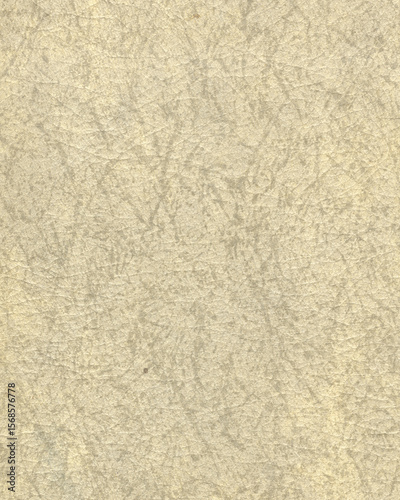 Wallpaper Mural Textured vintage photo folio cardstock background overlay Torontodigital.ca