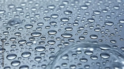 Wallpaper Mural Water droplets cover a smooth, reflective surface Close up shot Torontodigital.ca