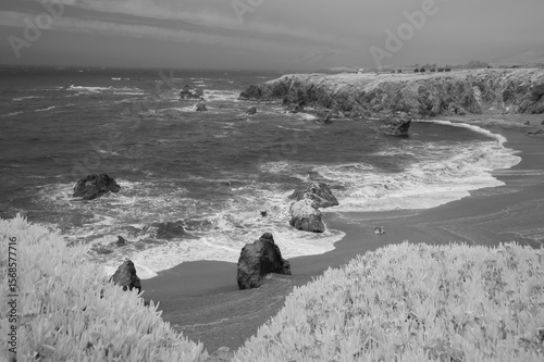 Sonoma Coast in Infrared Format