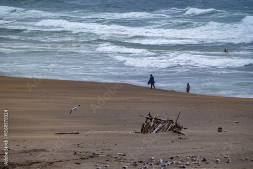 Beachcombers Near Bodega Bay
