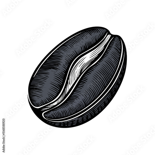 Engraved Style Coffee Bean Illustration on Black Background Single Isolated Roasted Coffee Bean Artwork