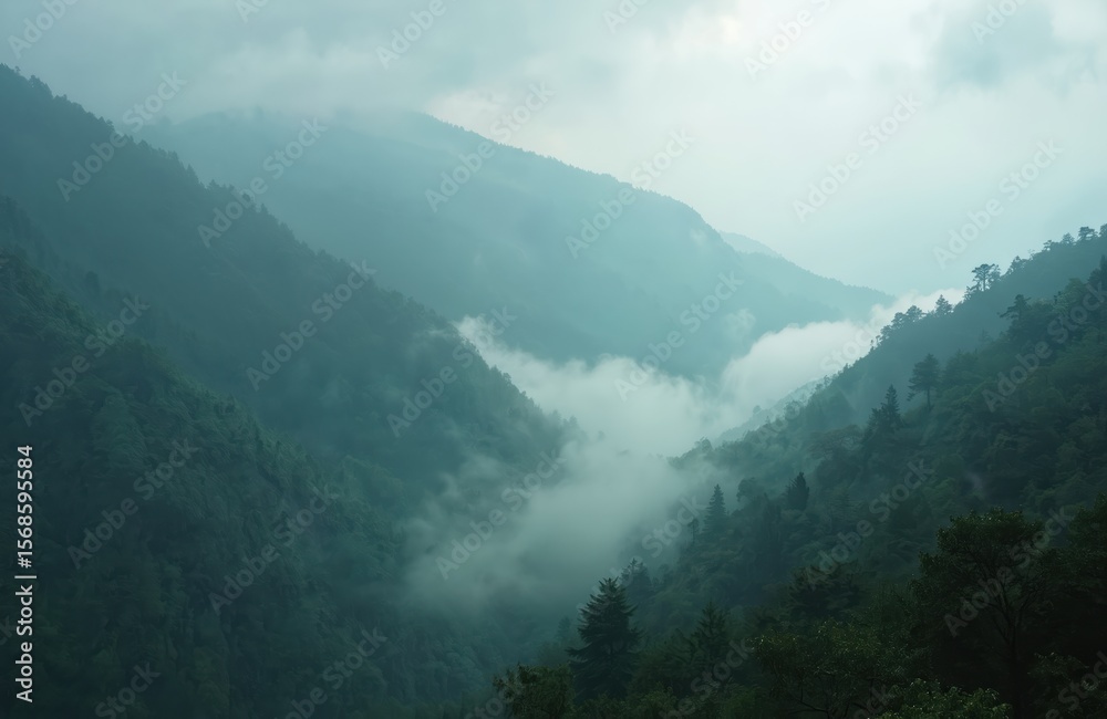 Aerial view of misty mountain range covered with green trees on cloudy day. Dense fog fills valleys, creating dramatic and serene atmosphere. Scene evokes sense of wilderness and natural beauty. Aerial view of misty mountain range covered with green trees on cloudy day. Dense fog fills valleys, creating dramatic and serene atmosphere. Scene evokes sense of wilderness and natural beauty.