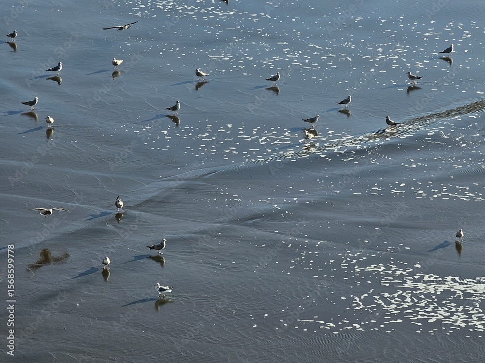 Fototapeta premium Scenes from San Francisco Bay Area