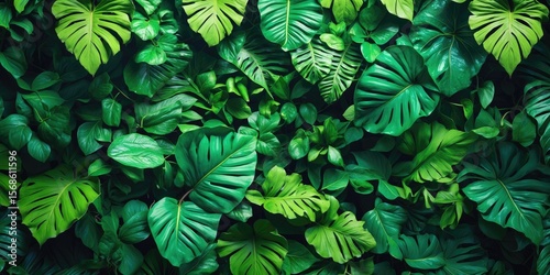 Full Frame Of Green Leaves Pattern Background, Nature Lush Foliage Leaf Texture