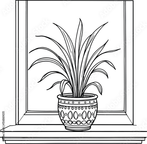 Minimal potted plant with long slender leaves on windowsill with decorative pot and window frame, ideal for cozy interior and botanical design themes