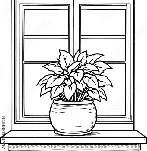 Potted plant with broad green leaves placed on a windowsill with divided glass panes, perfect for cozy interior design and natural home decor themes