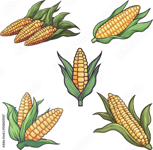 Cartoon corn illustration material
