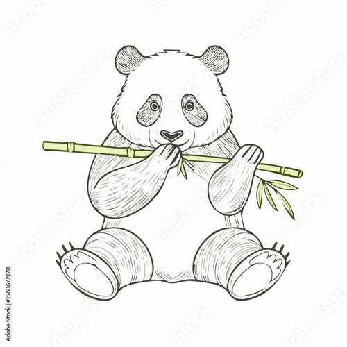 A sketched illustration of a giant panda seated and eating bamboo.