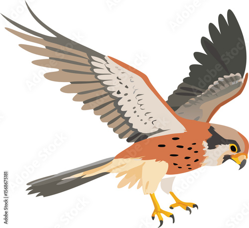 An American kestrel hovering precisely, its wings beating fast to stay still.